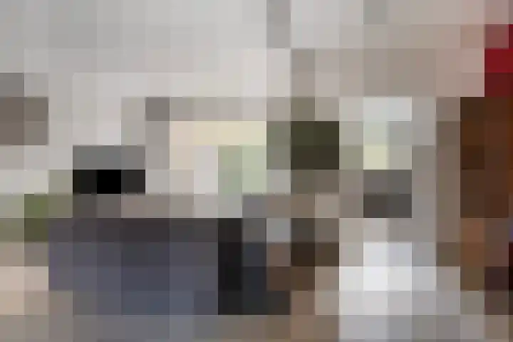 Herbergier 11 Oss thumbnail 8