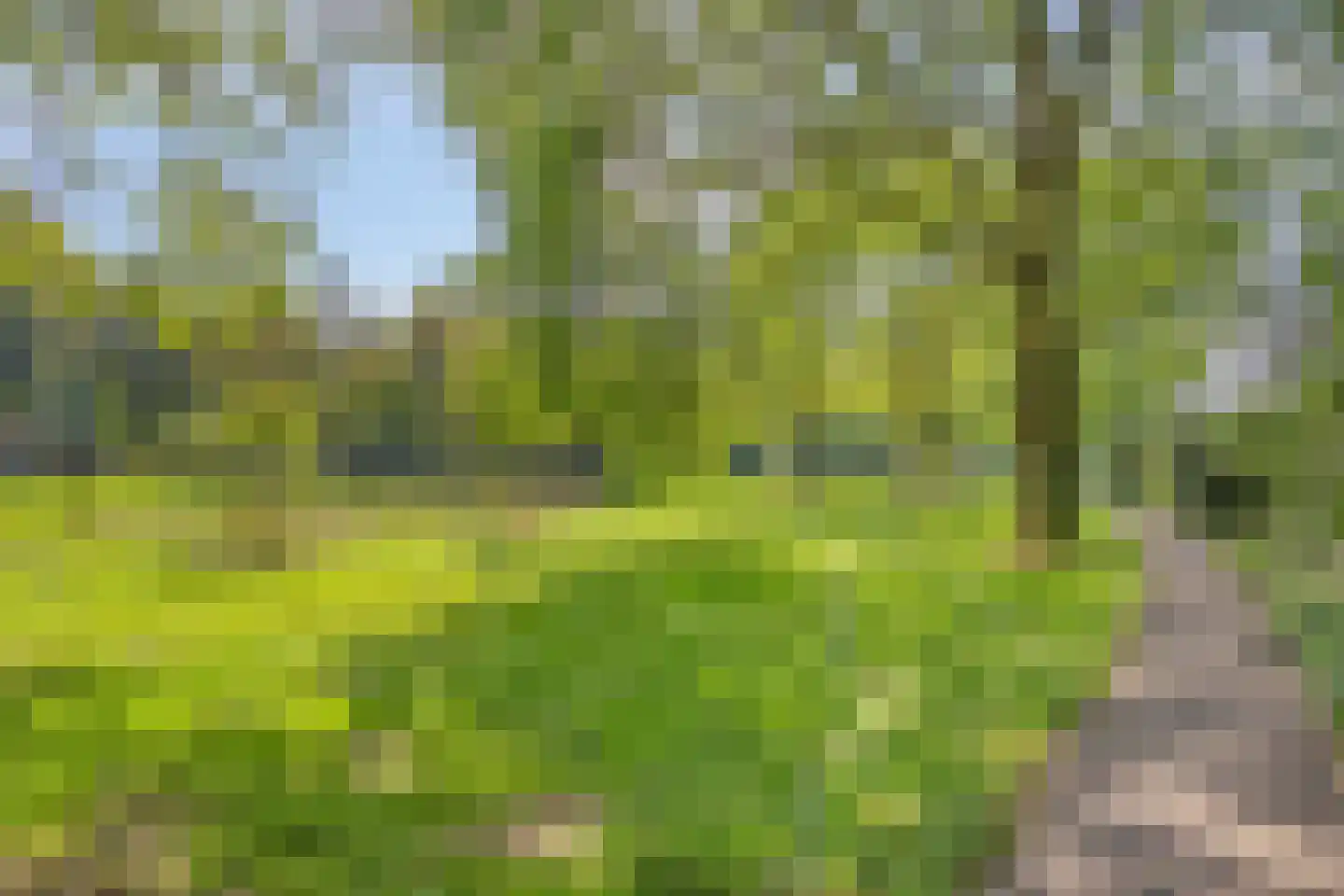 Herbergier 7 Oss thumbnail 32