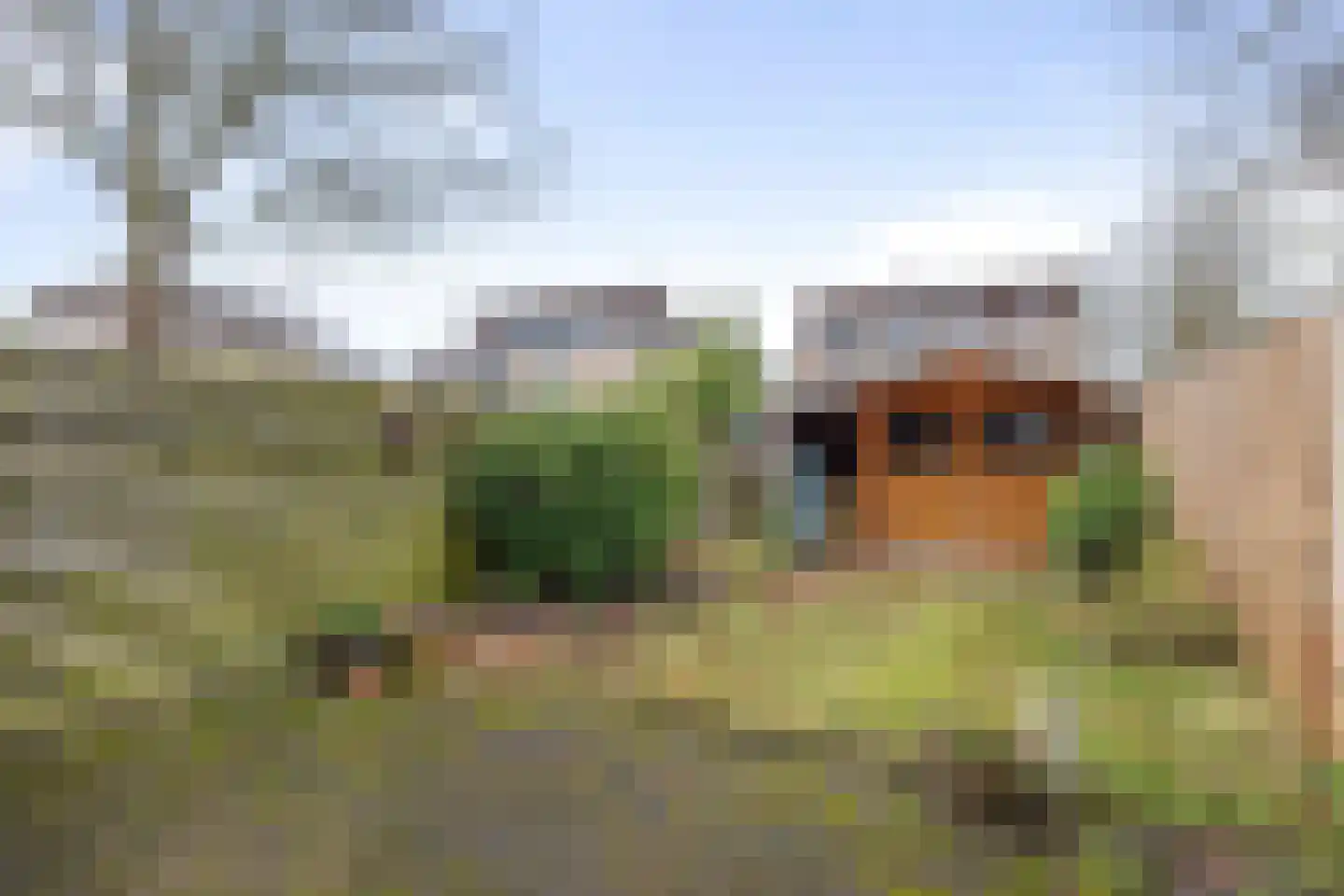 Herbergiershorst 102 Apeldoorn thumbnail 19