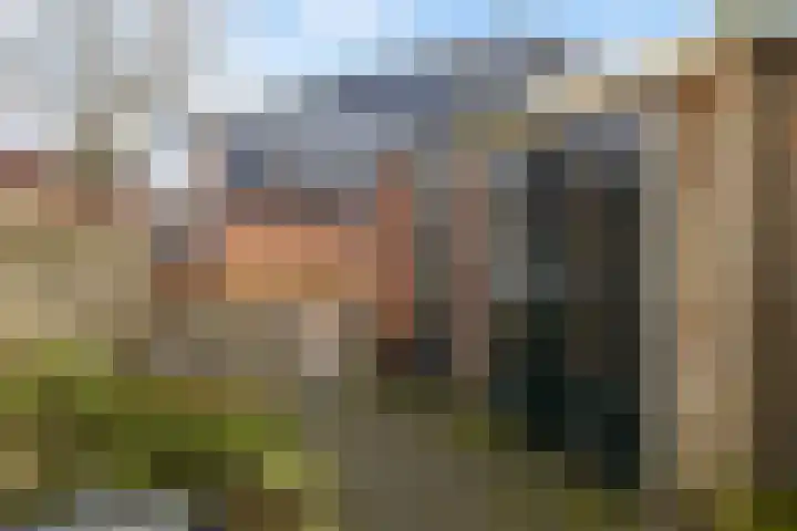 Herbergiershorst 114 Apeldoorn thumbnail 22