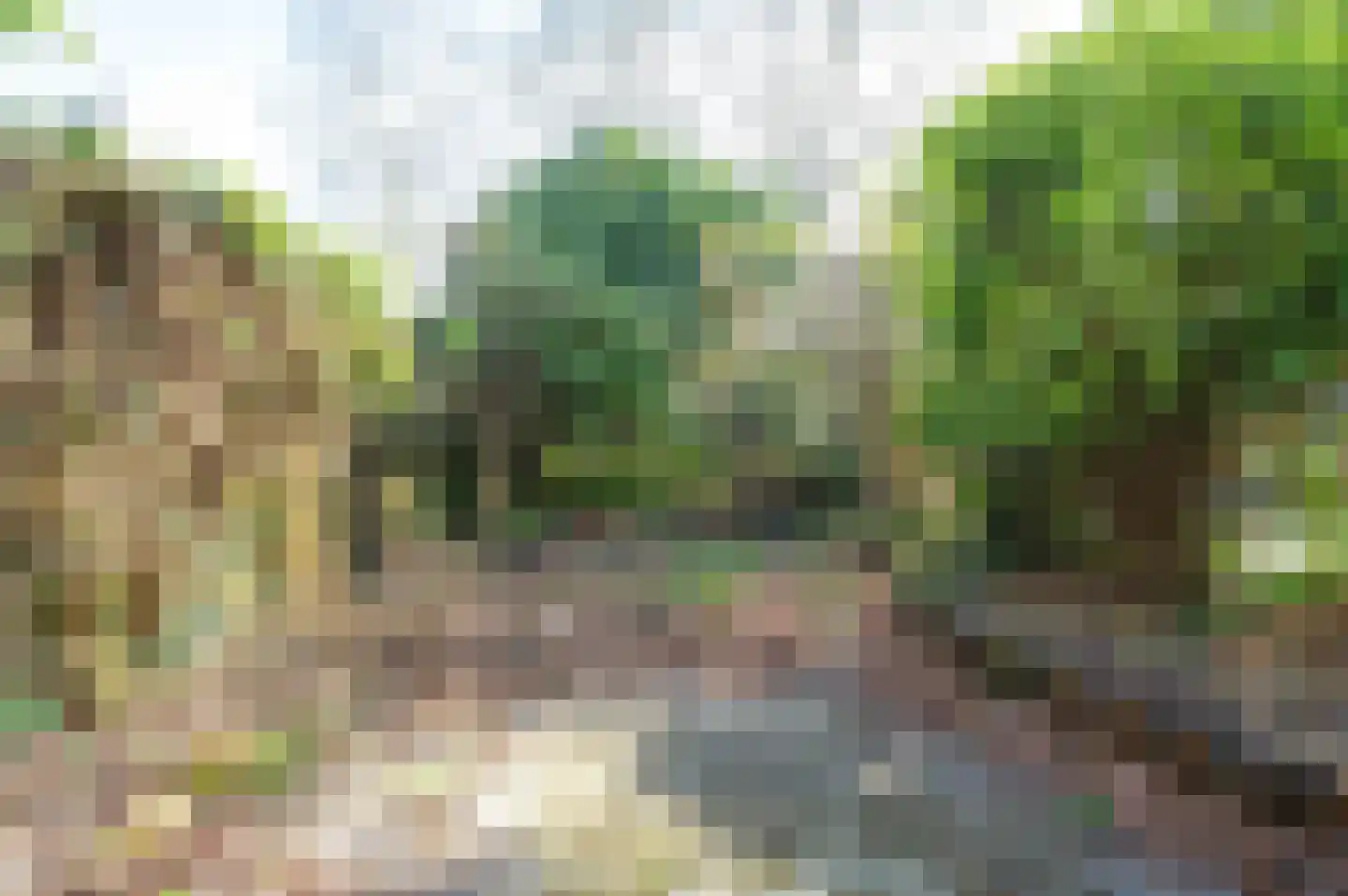 Herbergiershorst 206 Apeldoorn thumbnail 13