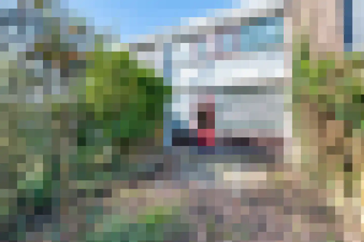 Herbergiershorst 206 Apeldoorn thumbnail 16