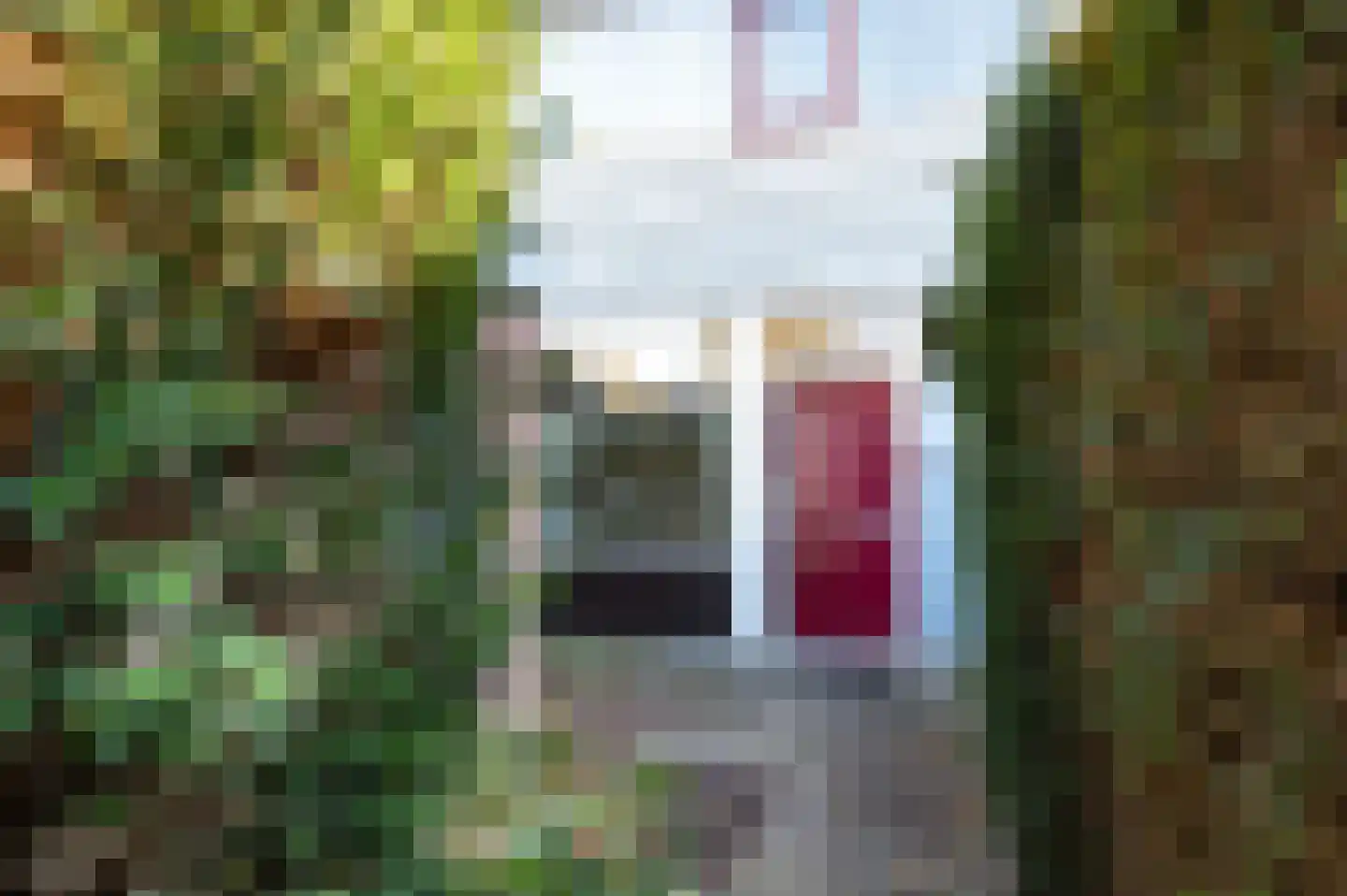 Herbergiershorst 206 Apeldoorn thumbnail 4