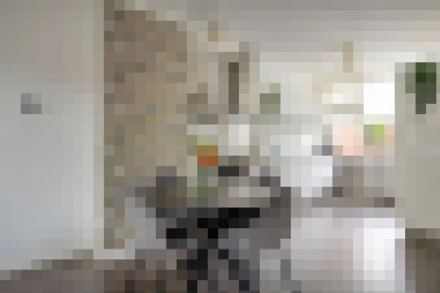 Herbergiershorst 207 Apeldoorn thumbnail 10