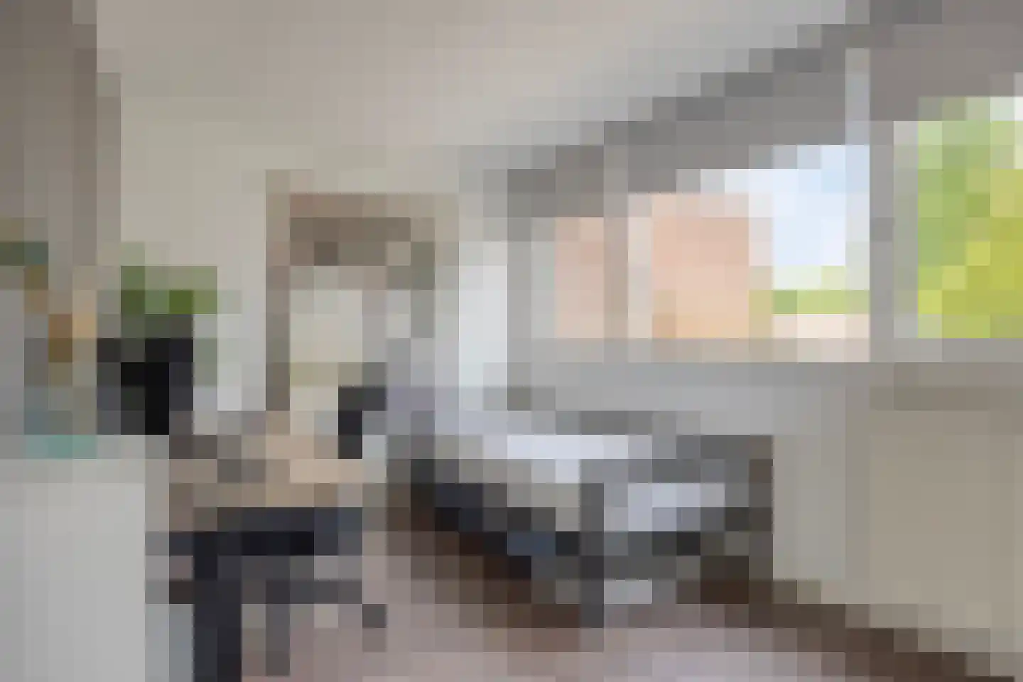 Herbergiershorst 207 Apeldoorn thumbnail 18