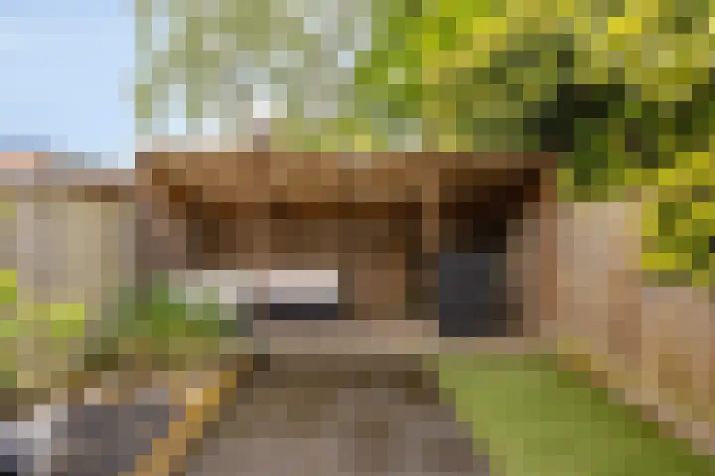 Herbergiershorst 207 Apeldoorn thumbnail 23