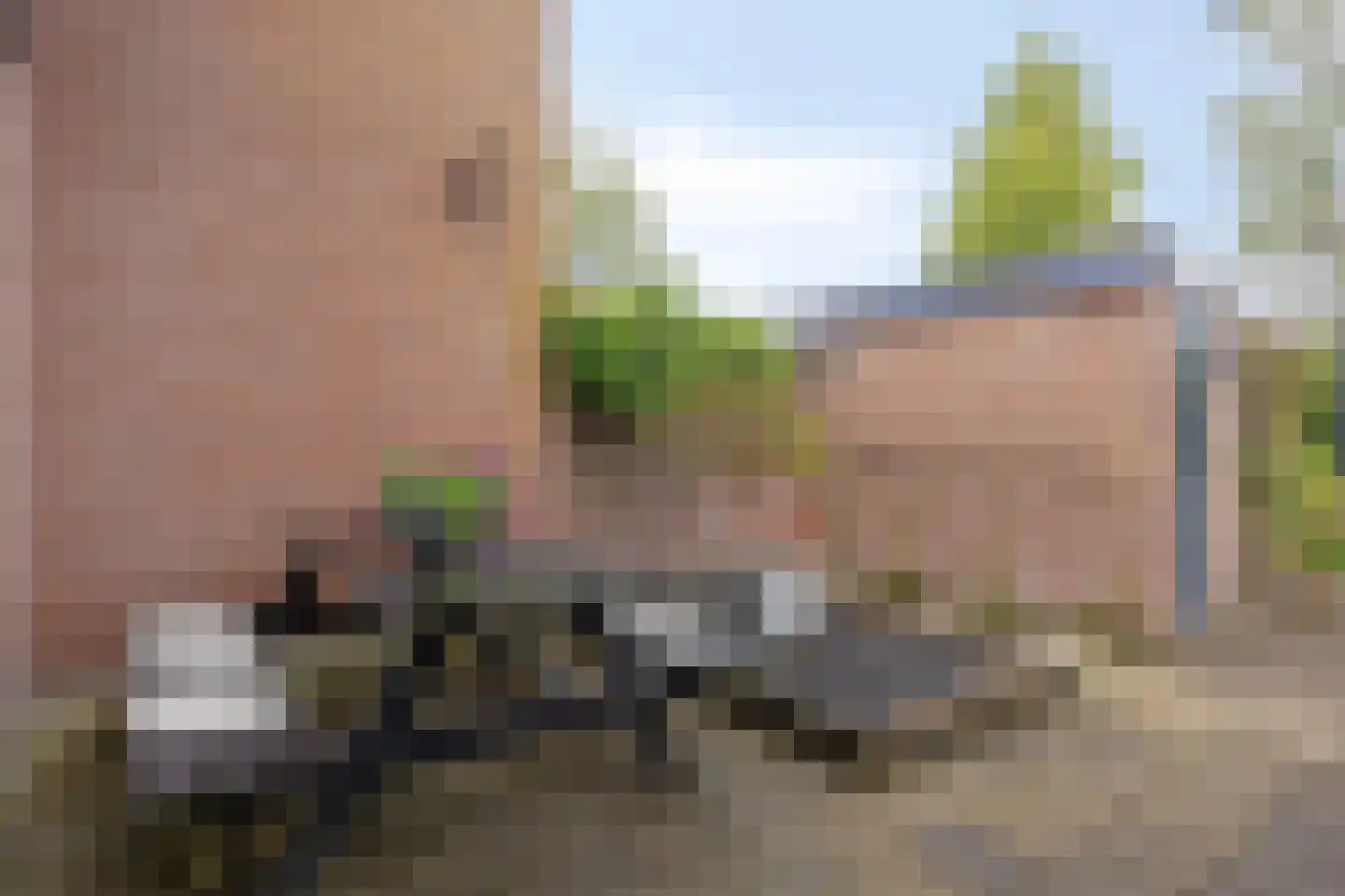 Herbergiershorst 207 Apeldoorn thumbnail 32