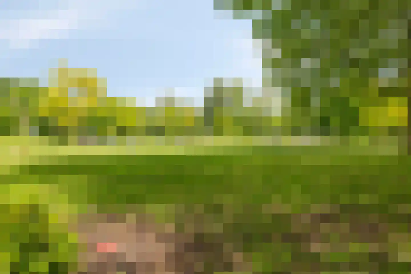 Herbergiershorst 207 Apeldoorn thumbnail 37