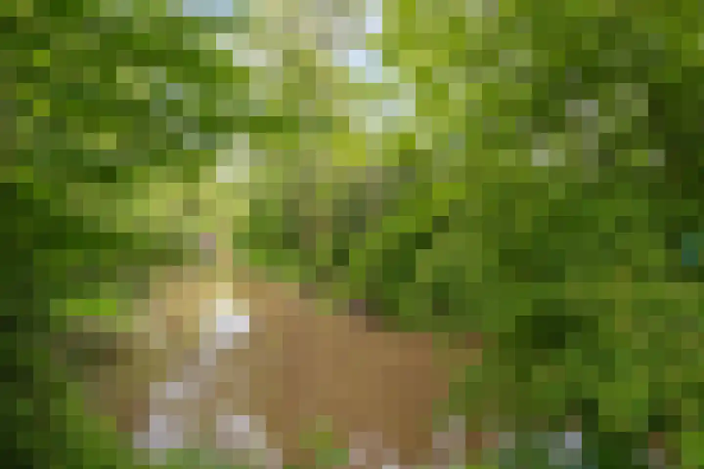 Herbergiershorst 207 Apeldoorn thumbnail 38