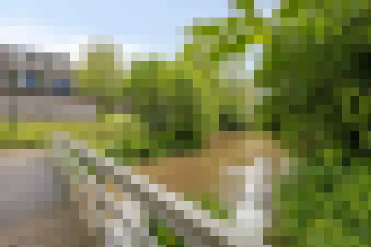 Herbergiershorst 207 Apeldoorn thumbnail 39