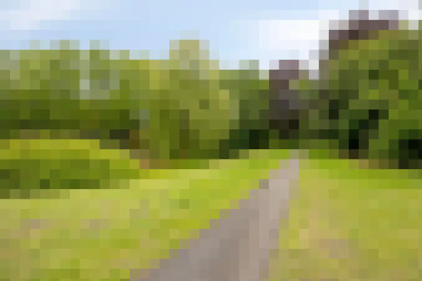 Herbergiershorst 207 Apeldoorn thumbnail 40