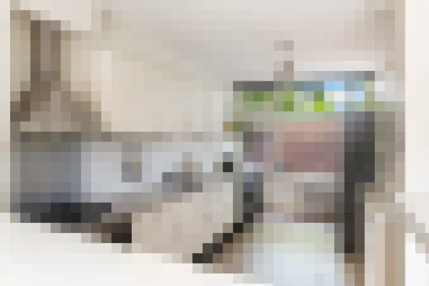Herbergiershorst 310 Apeldoorn thumbnail 12