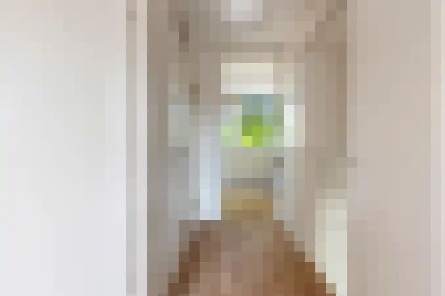 Herbergiershorst 310 Apeldoorn thumbnail 17