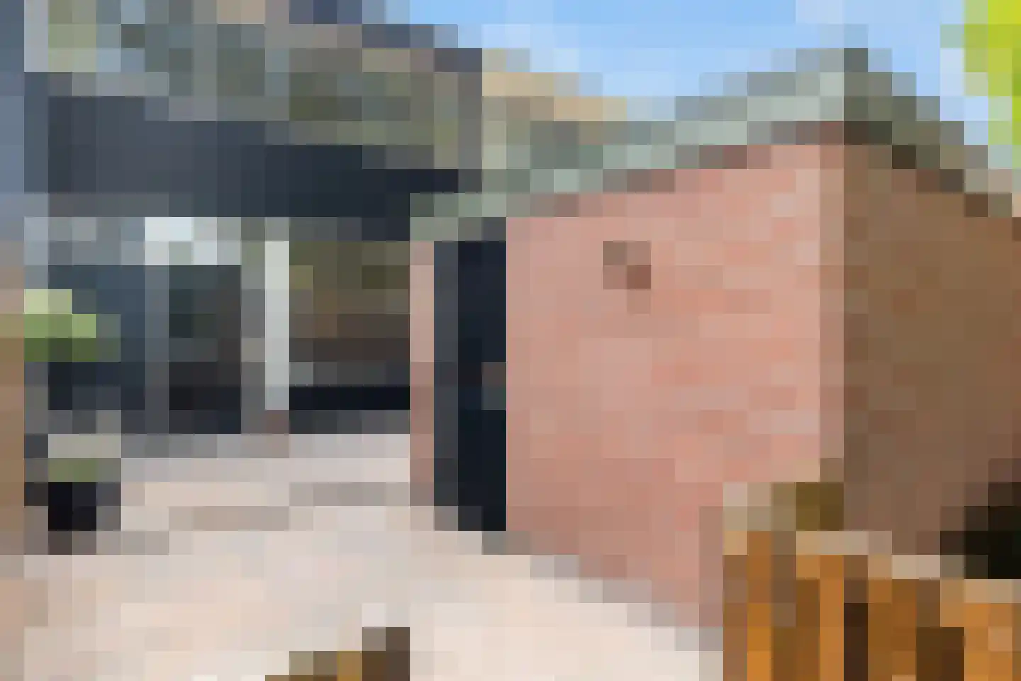 Herbergiershorst 310 Apeldoorn thumbnail 28