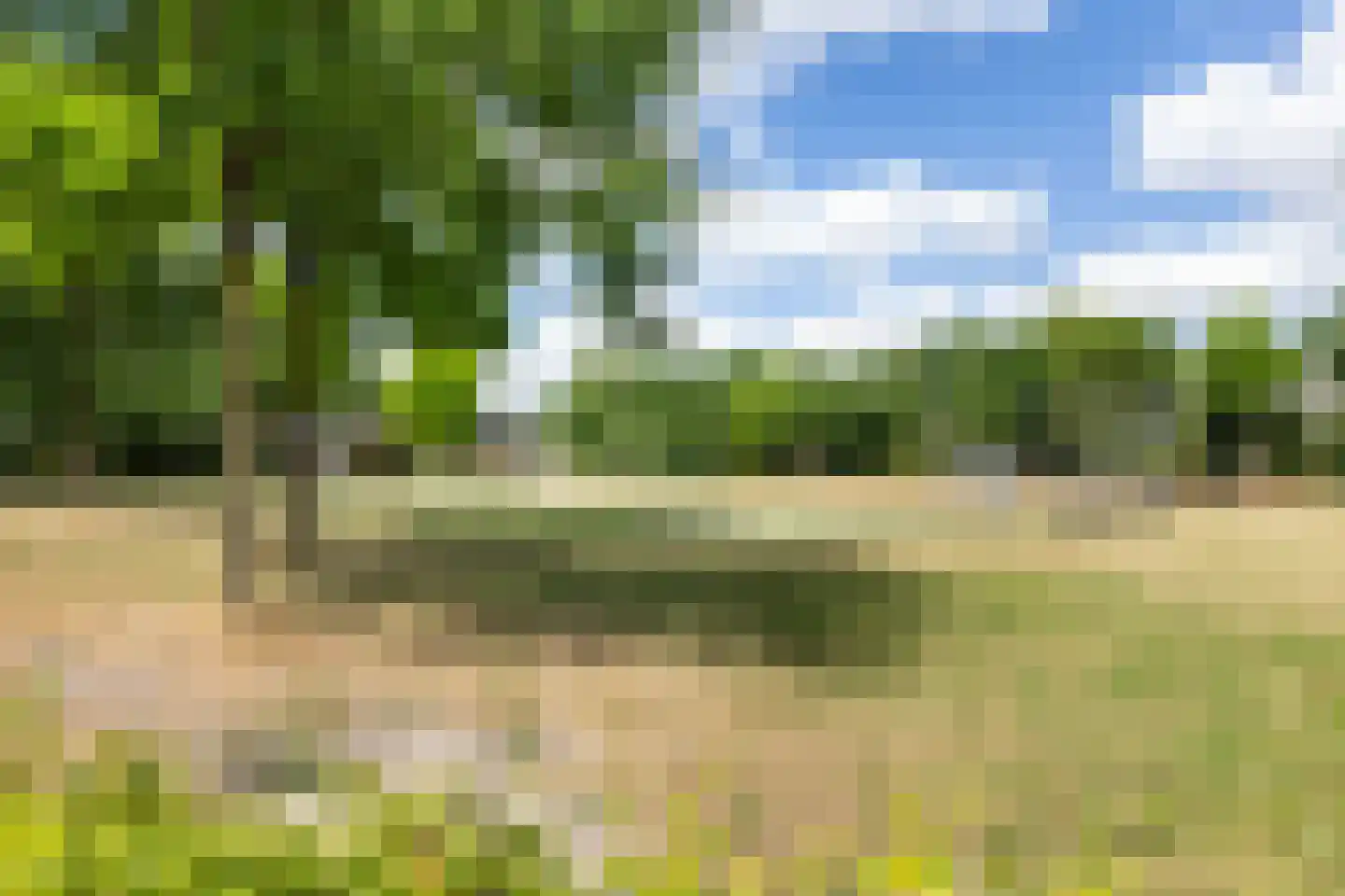Herbergiershorst 310 Apeldoorn thumbnail 30