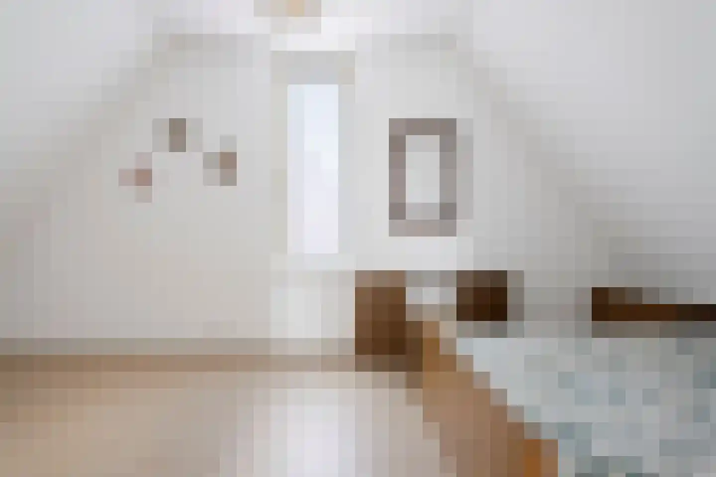 Herbergierstraat 6 Etten-Leur thumbnail 31