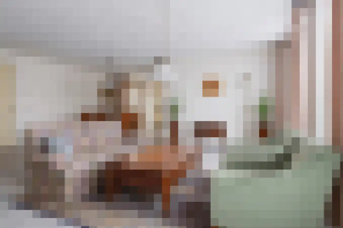 Herbergierstraat 6 Etten-Leur thumbnail 8
