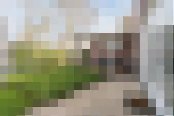 Herbert Kawanstraat 3 Utrecht thumbnail 11