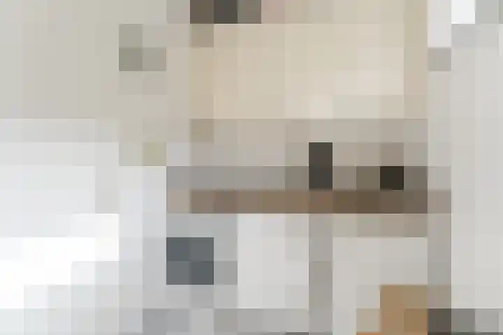 Herbert Kawanstraat 3 Utrecht thumbnail 41