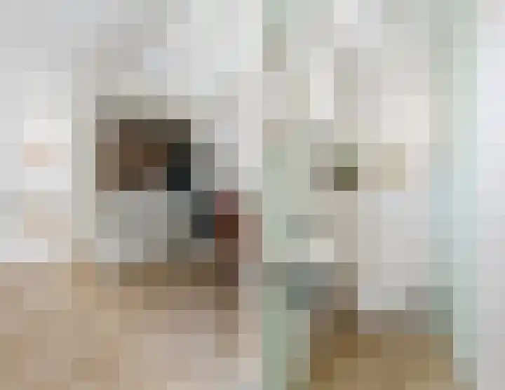 Herbert Kawanstraat 3 Utrecht thumbnail 5