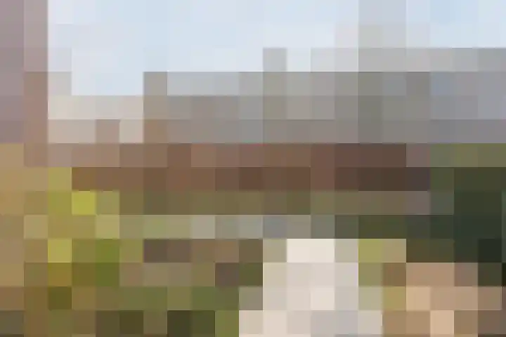 Herbert Kawanstraat 3 Utrecht thumbnail 66