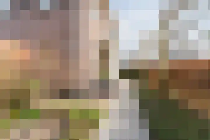Herbert Kawanstraat 3 Utrecht thumbnail 67