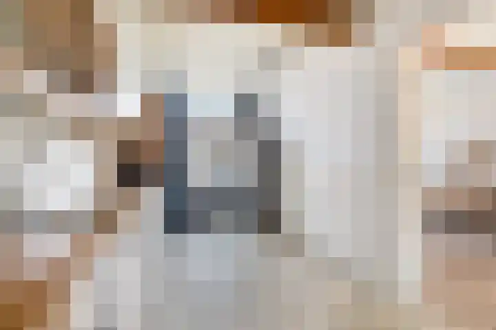 Herbert van Puttenweg 10 't Harde thumbnail 10