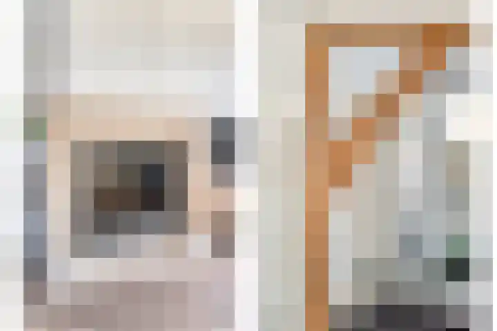 Herbert van Puttenweg 10 't Harde thumbnail 16