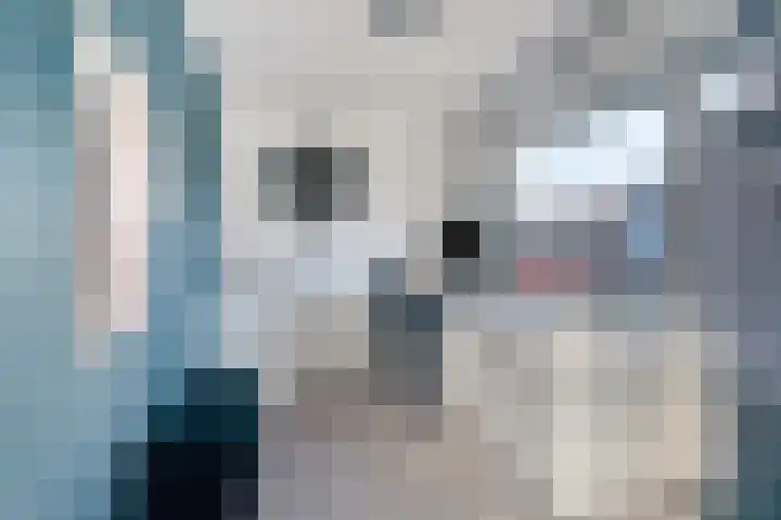 Herbert van Puttenweg 10 't Harde thumbnail 20