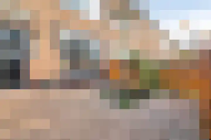 Herbert van Puttenweg 10 't Harde thumbnail 5