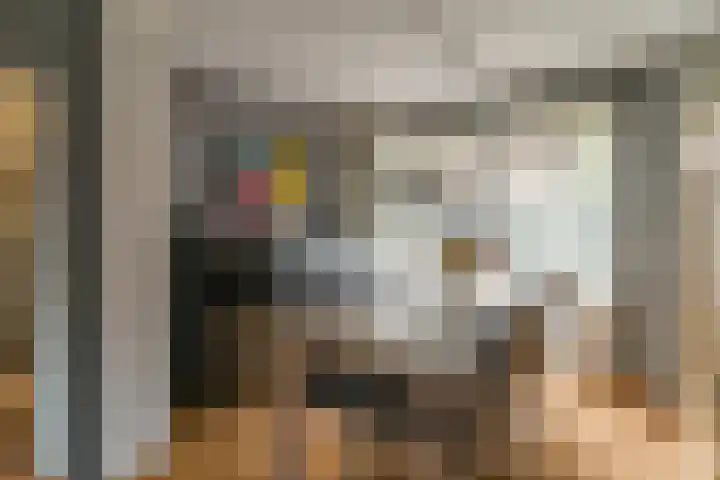 Herbert van Puttenweg 11 't Harde thumbnail 11