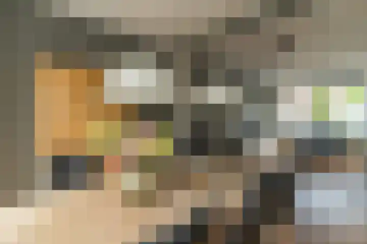 Herbert van Puttenweg 11 't Harde thumbnail 13