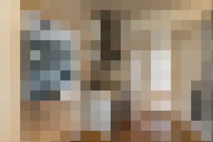 Herbert van Puttenweg 11 't Harde thumbnail 16