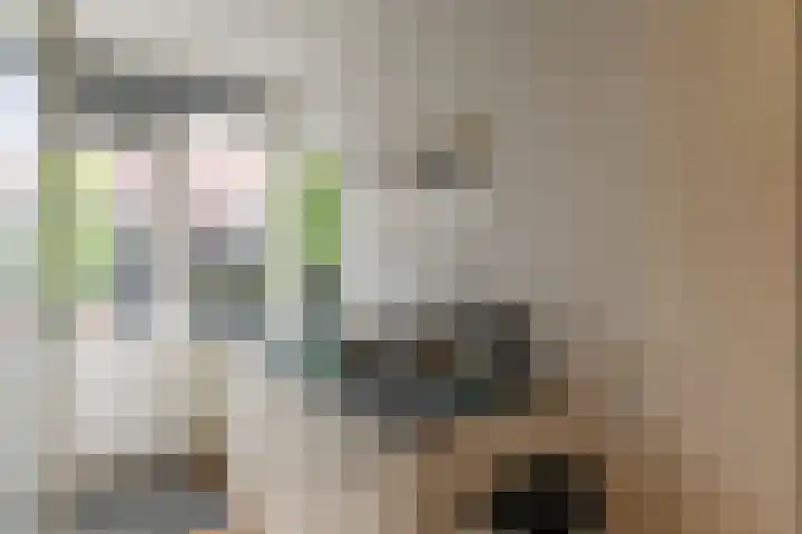 Herbert van Puttenweg 11 't Harde thumbnail 17