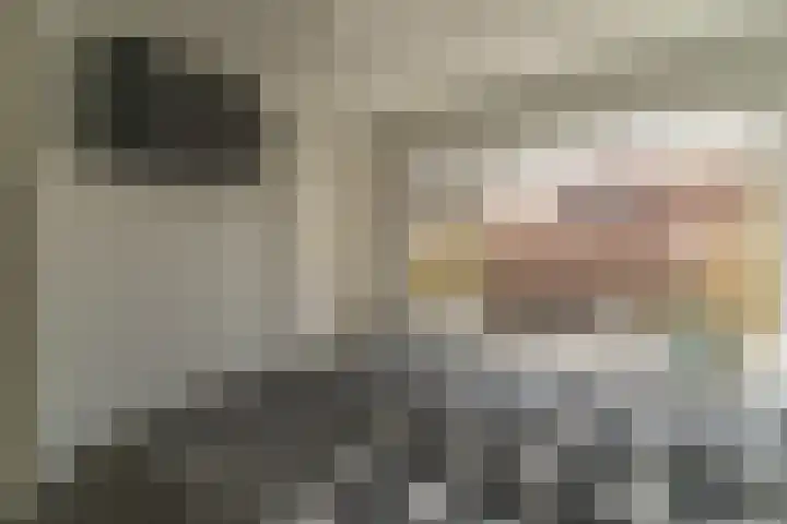 Herbert van Puttenweg 11 't Harde thumbnail 20