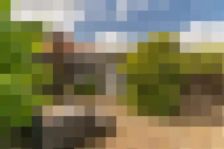 Herbert van Puttenweg 11 't Harde thumbnail 27