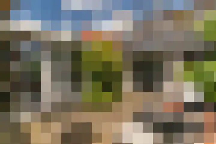 Herbert van Puttenweg 11 't Harde thumbnail 29
