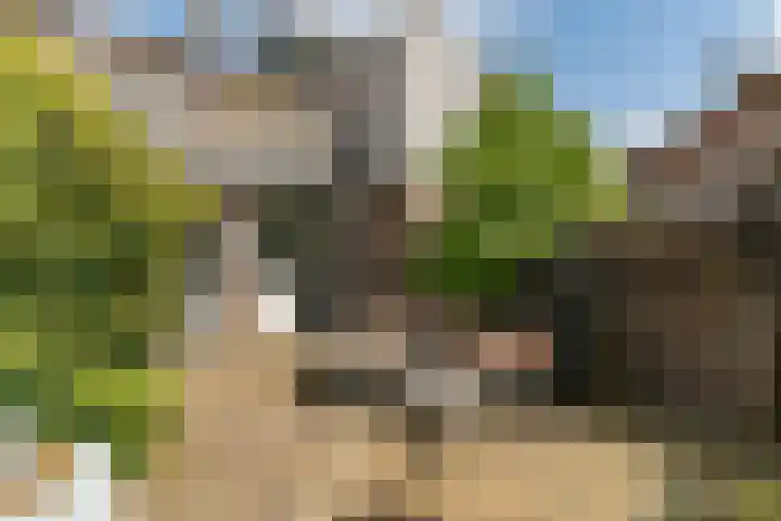 Herbert van Puttenweg 11 't Harde thumbnail 30