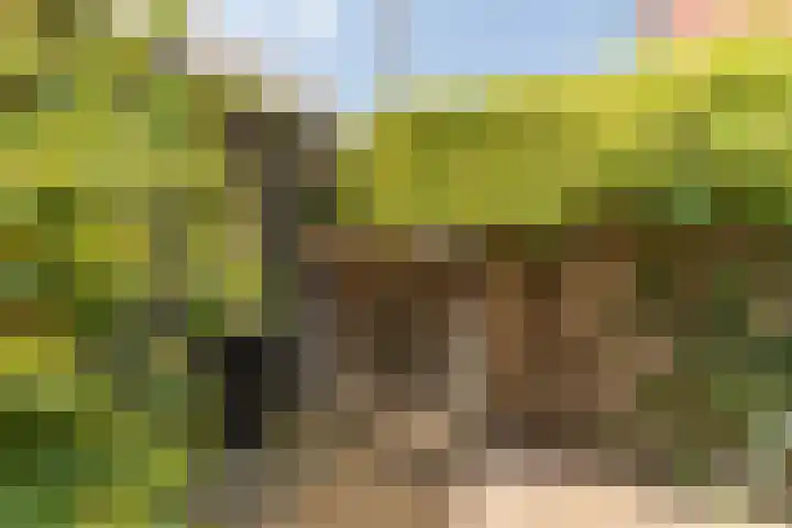 Herbert van Puttenweg 11 't Harde thumbnail 31