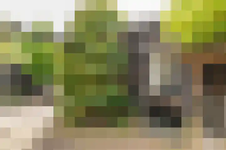 Herbert van Puttenweg 11 't Harde thumbnail 32