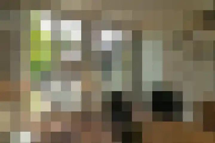 Herbert van Puttenweg 11 't Harde thumbnail 33