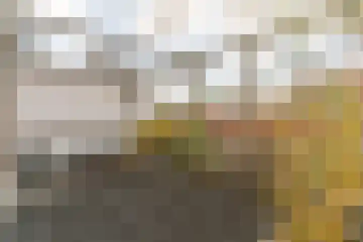 Herbert van Puttenweg 11 't Harde thumbnail 36