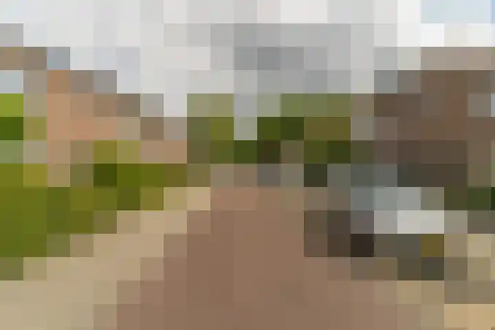 Herbert van Puttenweg 11 't Harde thumbnail 39