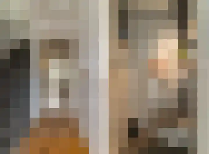 Herbert van Puttenweg 11 't Harde thumbnail 6
