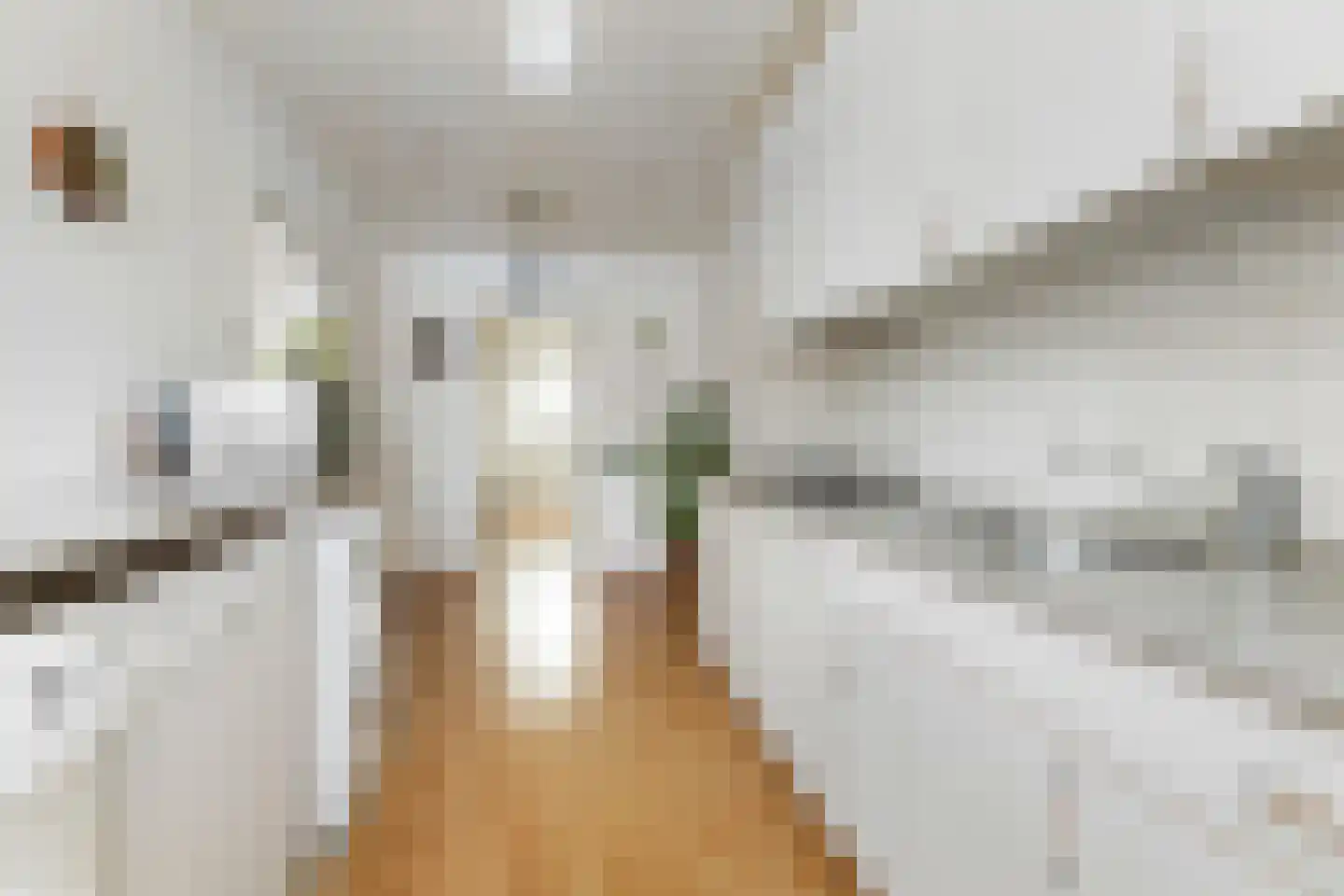 Herbert van Puttenweg 23 't Harde thumbnail 14