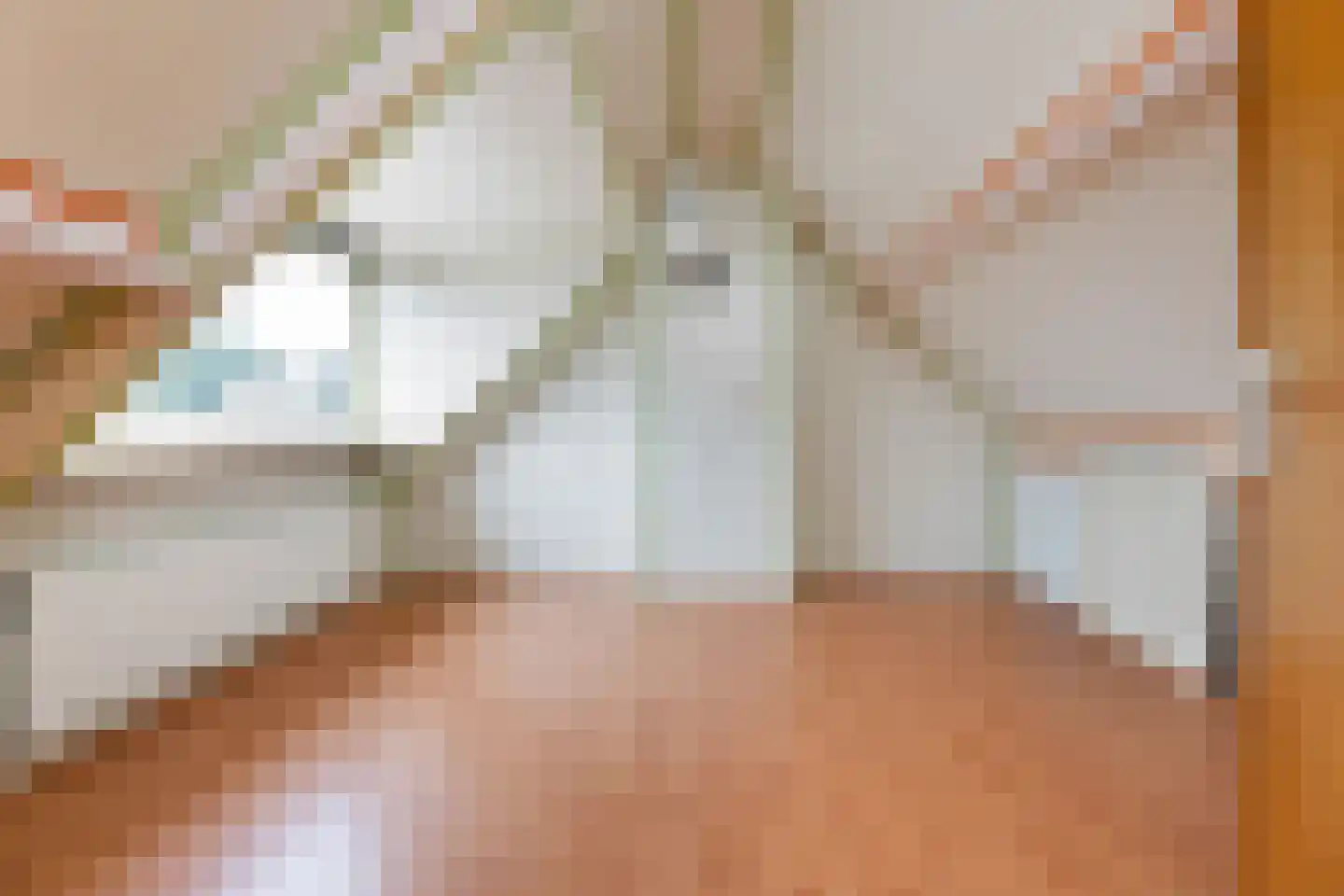 Herbert van Puttenweg 23 't Harde thumbnail 20