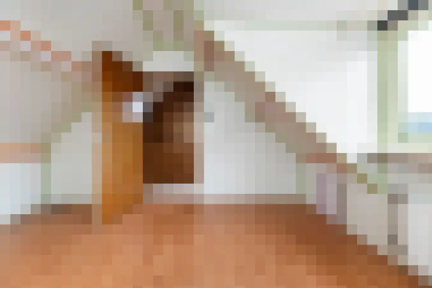 Herbert van Puttenweg 23 't Harde thumbnail 21