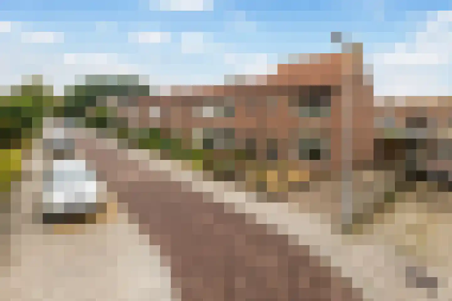 Herbert van Puttenweg 23 't Harde thumbnail 4