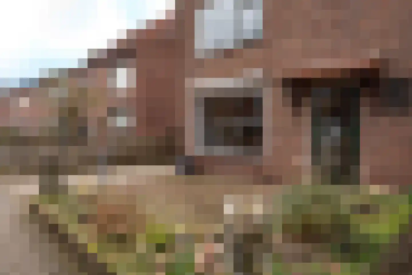 Herbert van Puttenweg 25 't Harde foto 3
