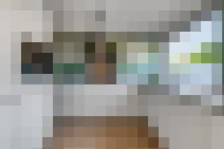 Herbertuslaan 2 Heeze